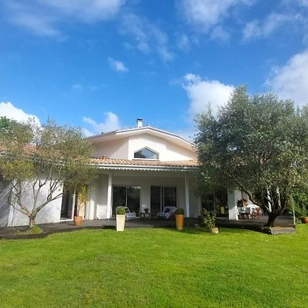 Agreable Maison Sur Le Bassin D'Arcachon Andernos-les-Bains ภายนอก รูปภาพ