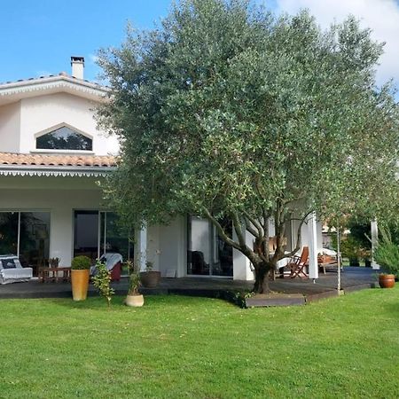 Agreable Maison Sur Le Bassin D'Arcachon Andernos-les-Bains ภายนอก รูปภาพ
