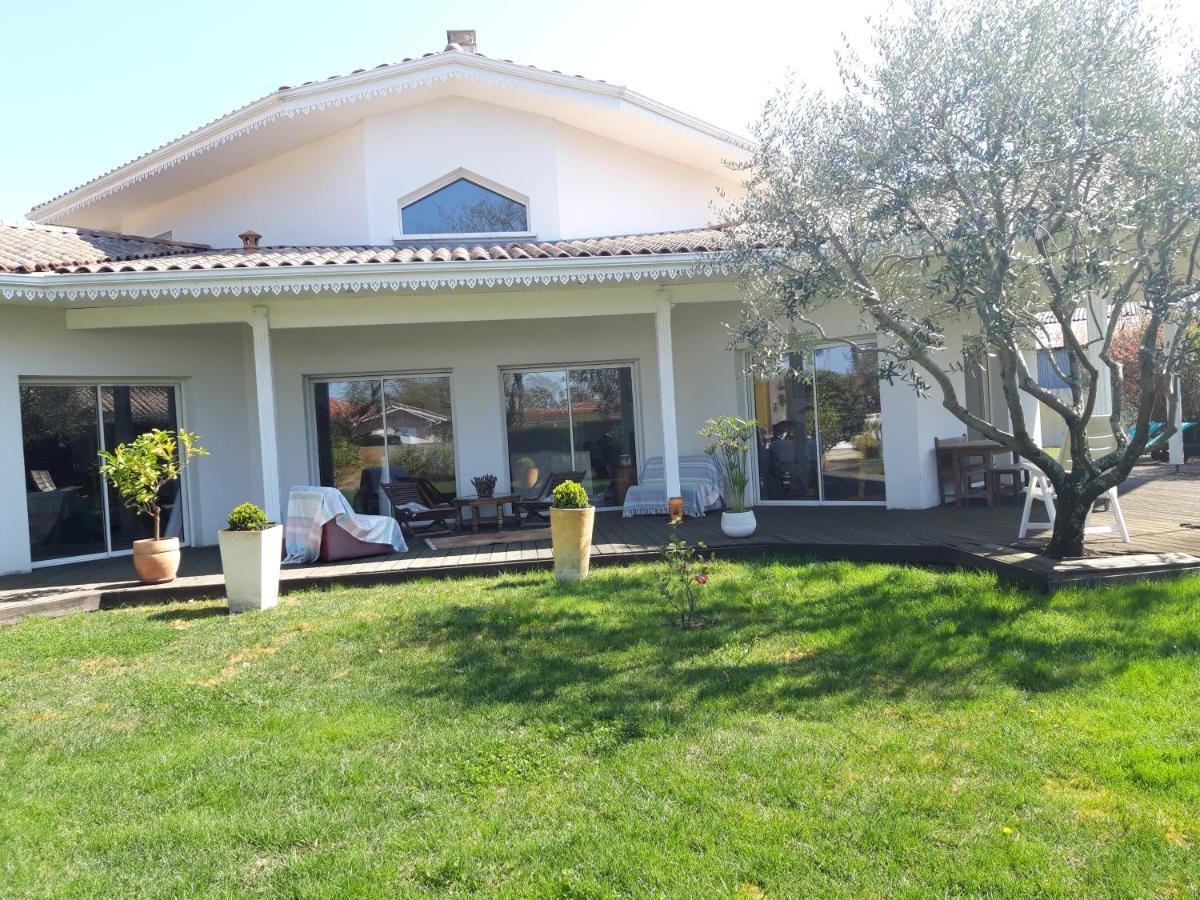 Agreable Maison Sur Le Bassin D'Arcachon Andernos-les-Bains ภายนอก รูปภาพ