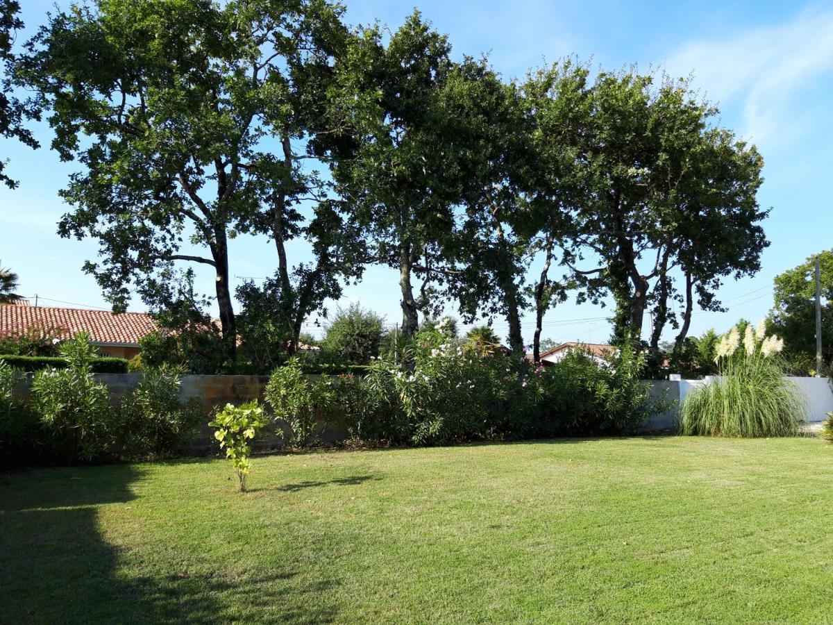 Agreable Maison Sur Le Bassin D'Arcachon Andernos-les-Bains ภายนอก รูปภาพ