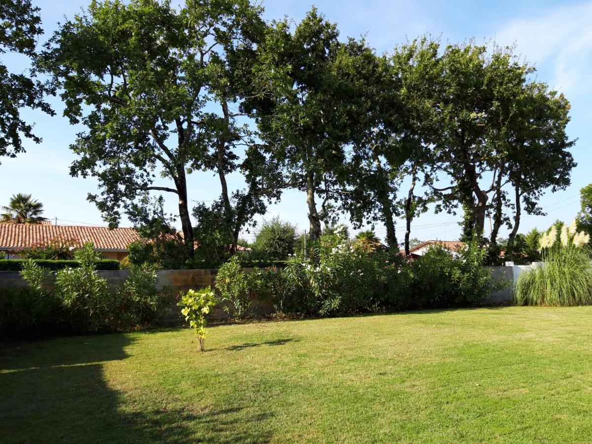 Agreable Maison Sur Le Bassin D'Arcachon Andernos-les-Bains ภายนอก รูปภาพ