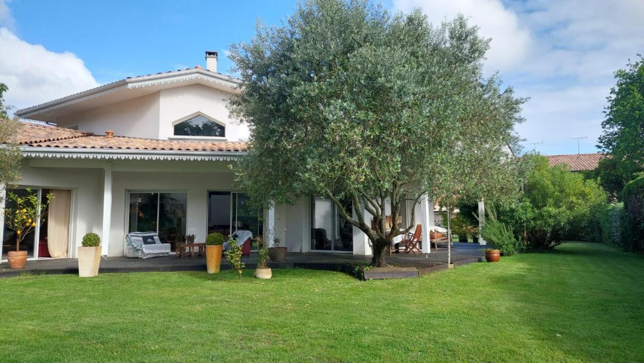 Agreable Maison Sur Le Bassin D'Arcachon Andernos-les-Bains ภายนอก รูปภาพ
